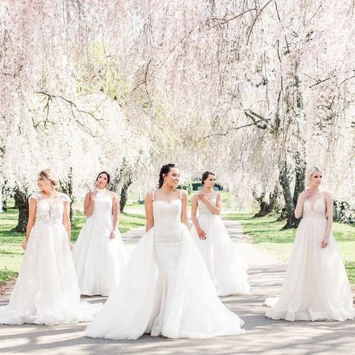 5 girls walking down a path in wedding dresses with white and pink blossoming trees in the background 